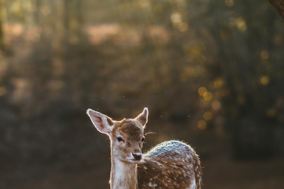 Quisquam dolorem facilis repudiandae aliquid assumenda